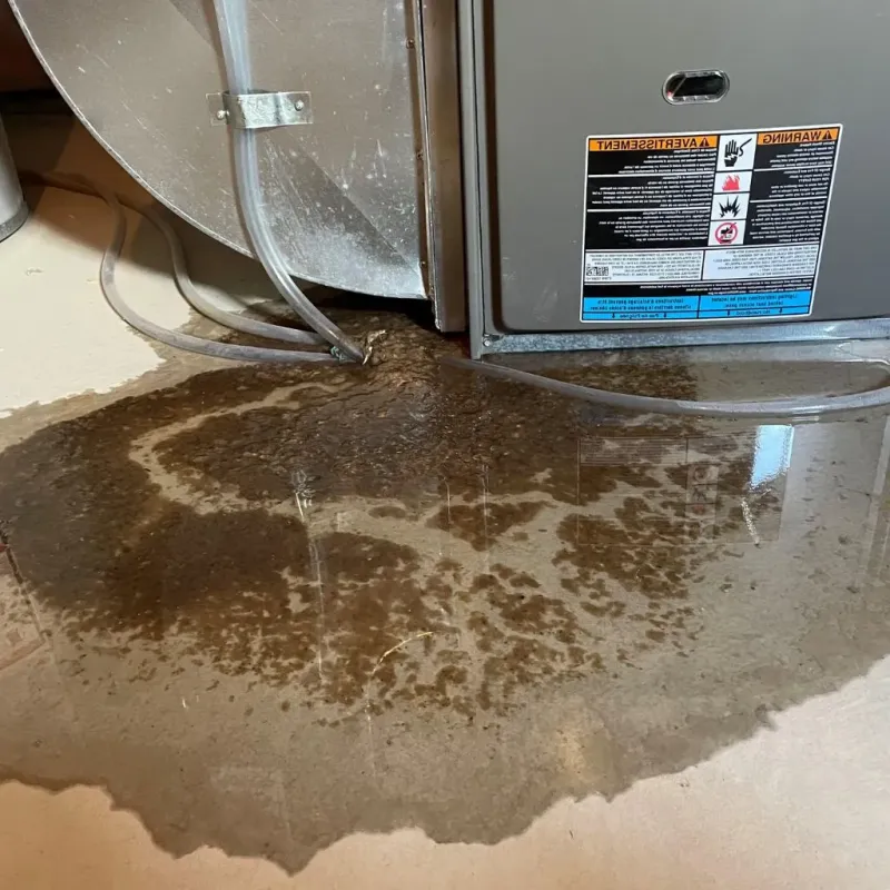 Pipe Burst and Leak Restoration in Mitchellville, MD