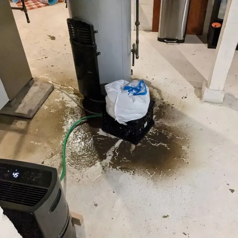 Sewage Backup Cleanup Service in Mitchellville, MD